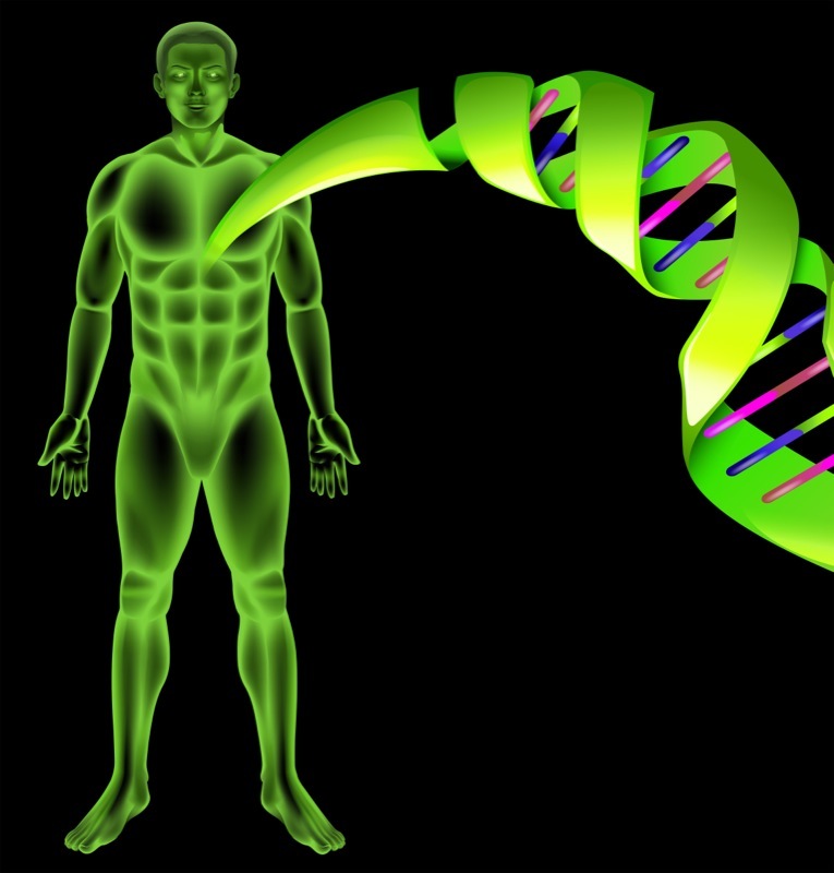 Chromosomes