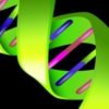 Slowing Telomere Attrition and Cellular Senescence—Today: Part II Chromosomes