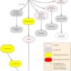 L-Citrulline: Restoring Erectile Function (Viagra Doesn’t) Citrulline and Arginine Pathway