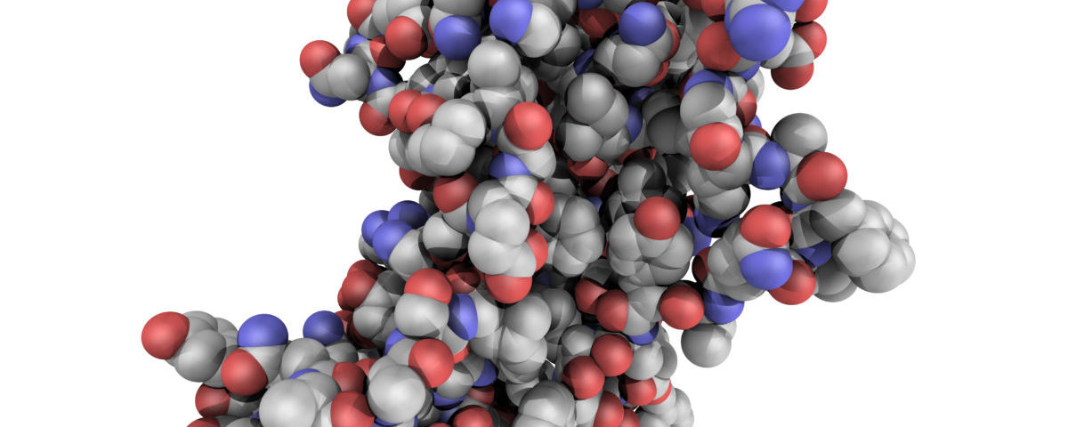 Growth Hormone